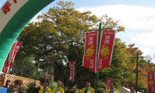 北瓜花怎么吃最养生-北瓜花怎么做好吃法大全窍门、北瓜花怎么炒最简单 -北瓜花怎么做好吃法大全网